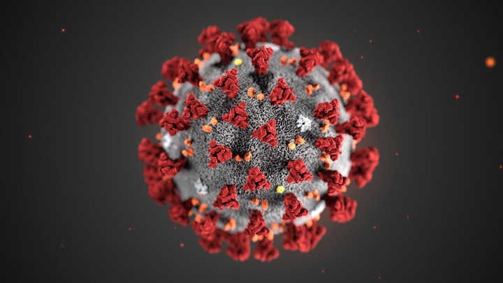 picture of covid-19 virus